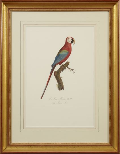 After Francois Levillant French 1767 1809 Parrots pair of chromolithographs