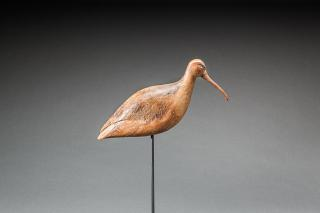 Curlew Charles S Clark 1869 1947 Chincoteague VA or William