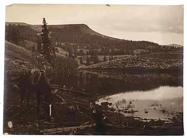Charles J Belden Photograph of a Horse Resting Across a