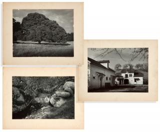 Ansel Adams 1902 Three black and white photographs rocks creek