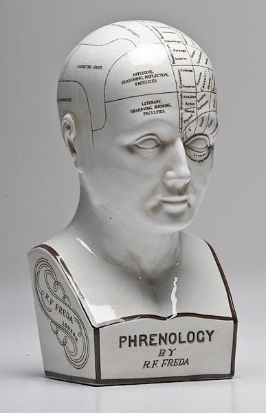 PHRENOLOGY HEAD MARKED R F FREDA English second half 19th