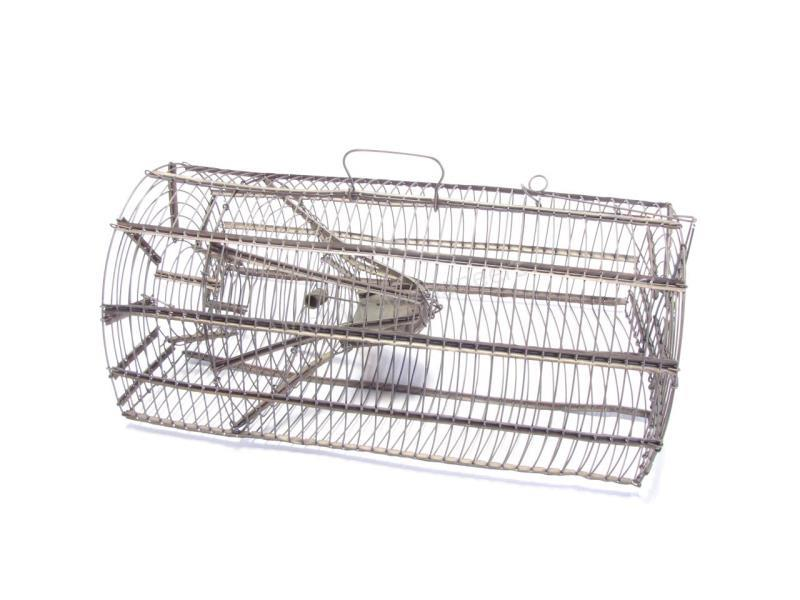 An antique live trap wire with trap door dome top