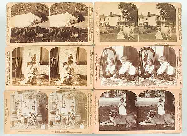 Stereoviews Children Pets and Humor Group of 21 Curved Mount