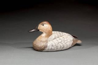 Canvasback Hen Jim Foote 1925 2004 Pt Mouille and Gibraltar