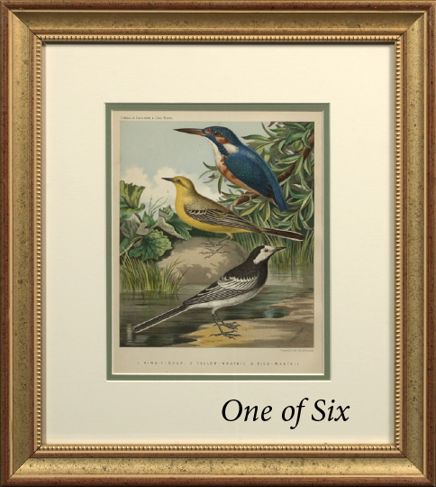 British School Fourth Quarter 19th Century suite of six chromolithographs