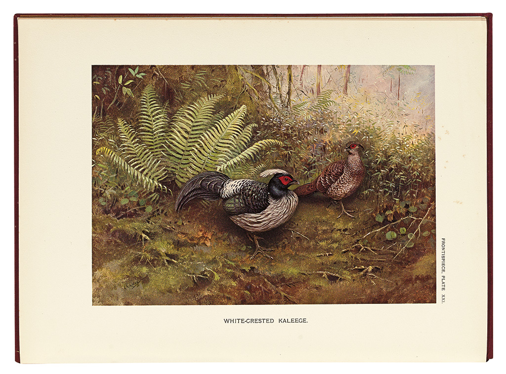BEEBE CHARLES WILLIAM A Monograph of The Pheasants 90 color