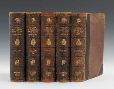 The New Natural History Lydekker Richard Ernest Seton Thompson First
