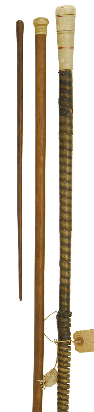 TWO CANES AND A POINTER 19th Century1 Baleen and whalebone
