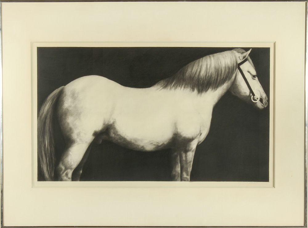 Joseph Piccillo Horse Study Pencil Charcoal Joseph Piccillo American b