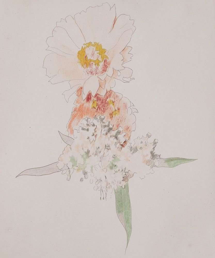 JOSEPH STELLA 1877 1946 SILVERPOINT COLORED CRAYON Joseph Stella 1877