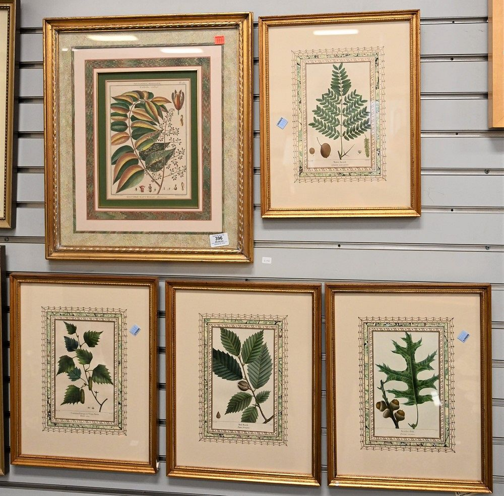 Group of Five Botanical Hand Colored Engravings to include four