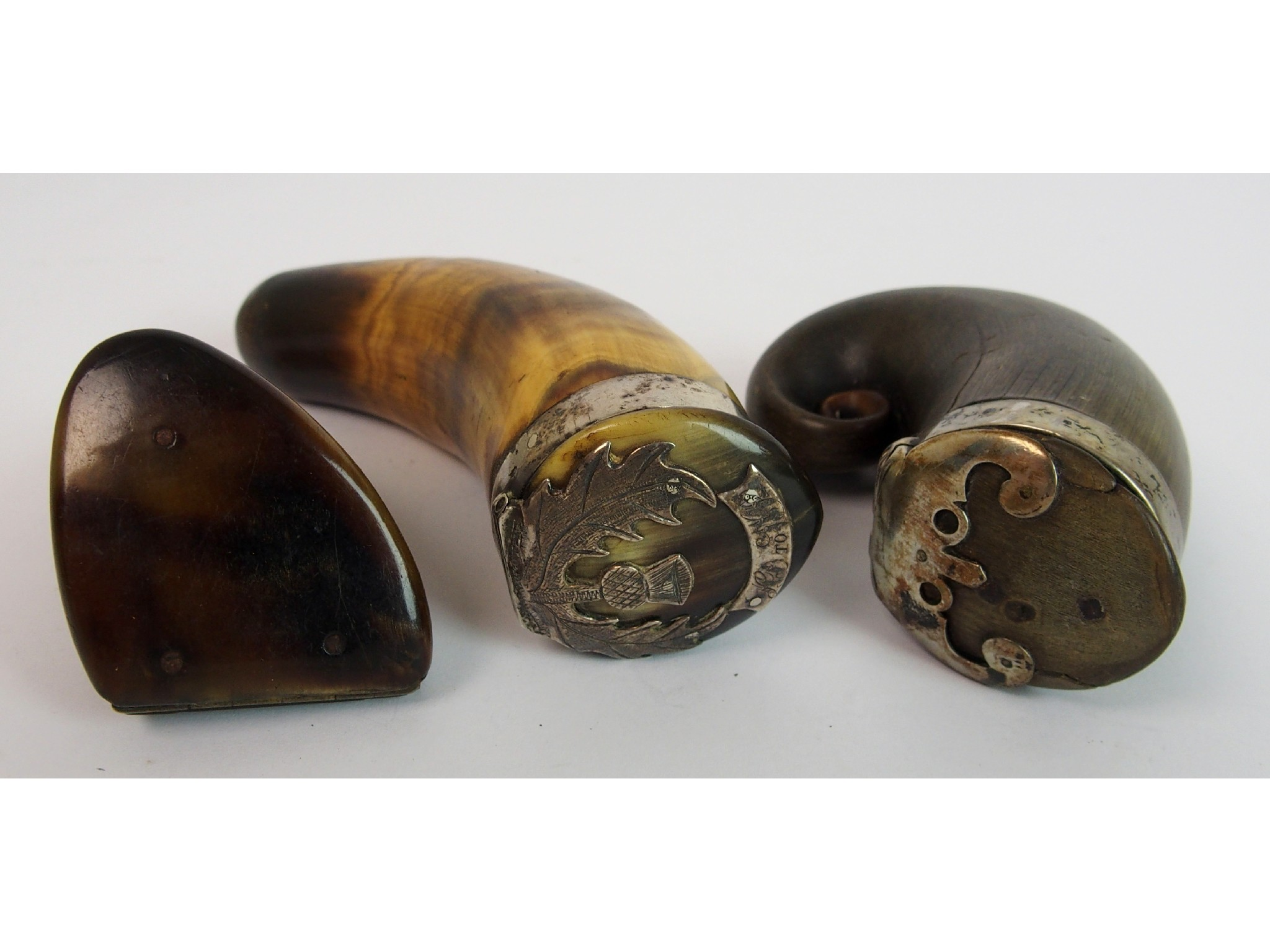 Three Scottish 19th Century ram s horn snuff mulla white
