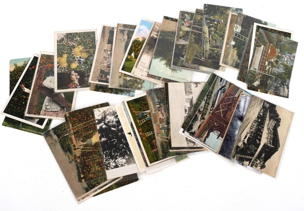 Here is a fine topical collection of Florida postcards all
