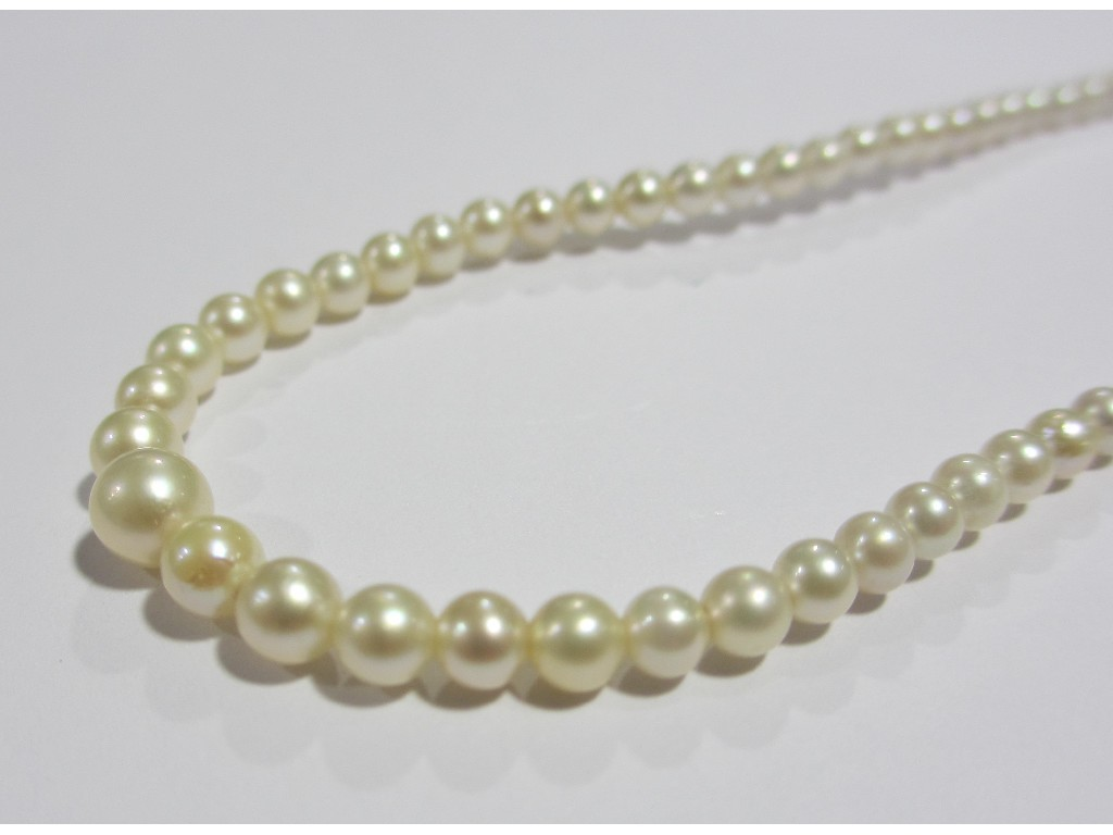 String of graduated cultured pearls with silver clasp