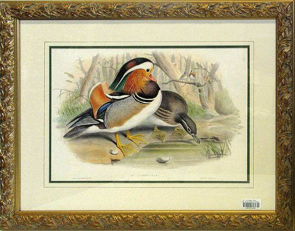 A set of four framed avian prints framed dimensions 23