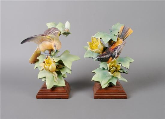 A Pair of Royal Worcester Dorothy Doughty Birds Baltimore Orioles