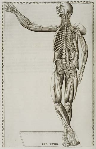 EUSTACHI BARTOLOMMEO Tabulae anatomicae editio Romana altera Engraved frontispiece portrait