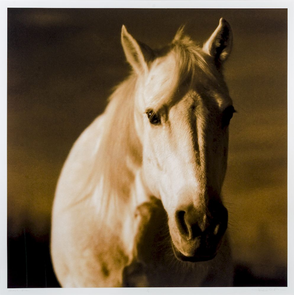 Michael Eastman American b 1947 Horse 22 1 14 Michael