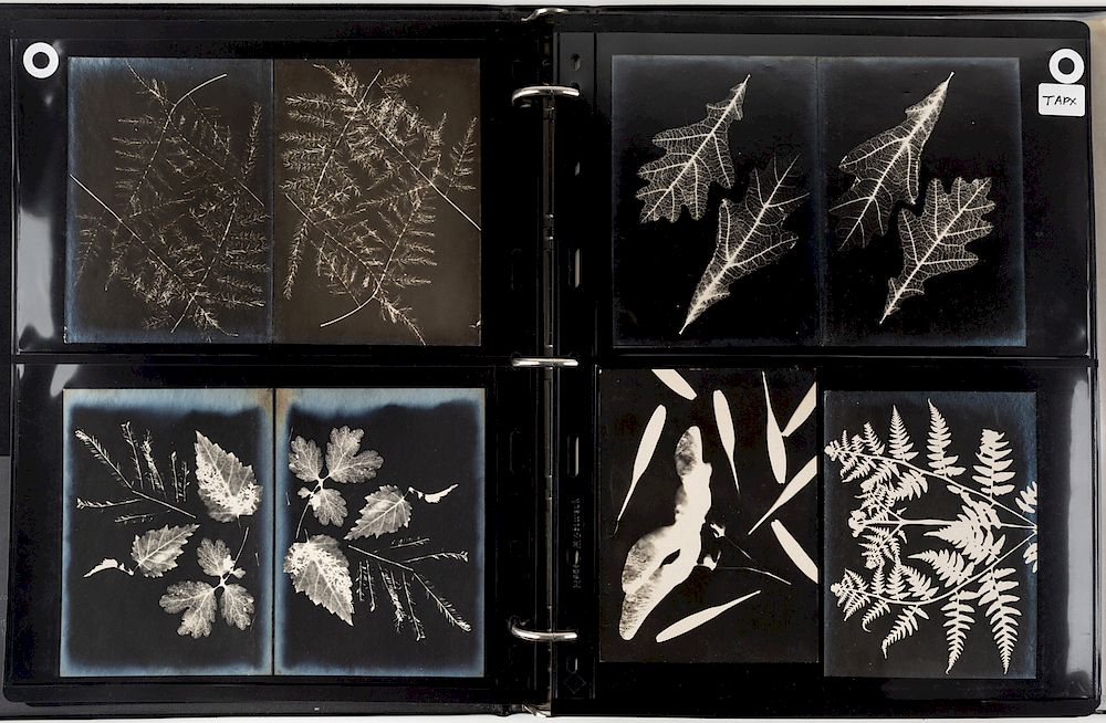 AN EXCEEDINGLY RARE COLLECTION OF 215 AVANT GARDE PHOTOGRAPHS AND