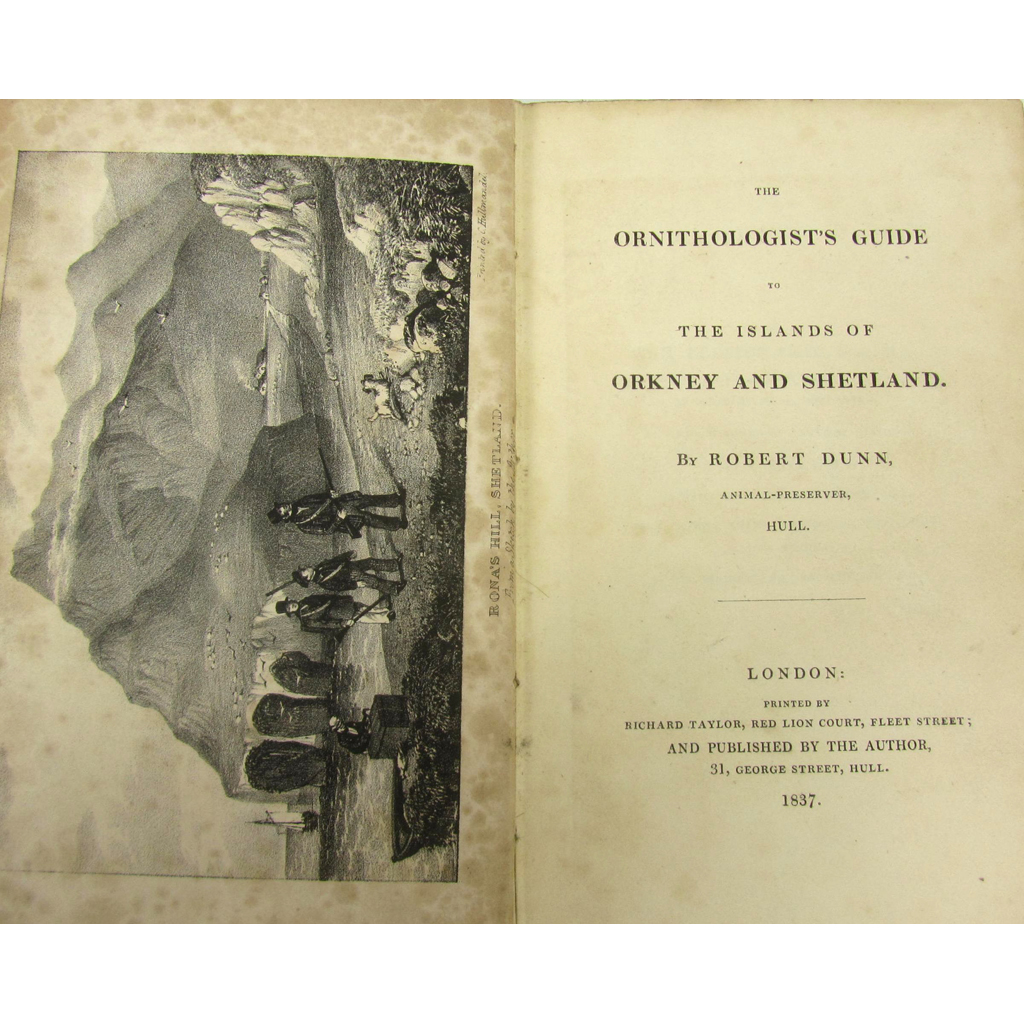 Orkney Shetland Dunn Robert The Ornithologist s Guide to the