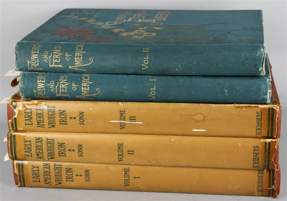 FLOWERS AND FERNS OF AMERICA VOL I AND II BY
