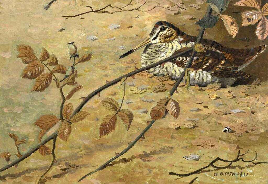 DENYS JAMES WATKINS PITCHFORD BB MBE 1905 1990 WOODCOCK signed
