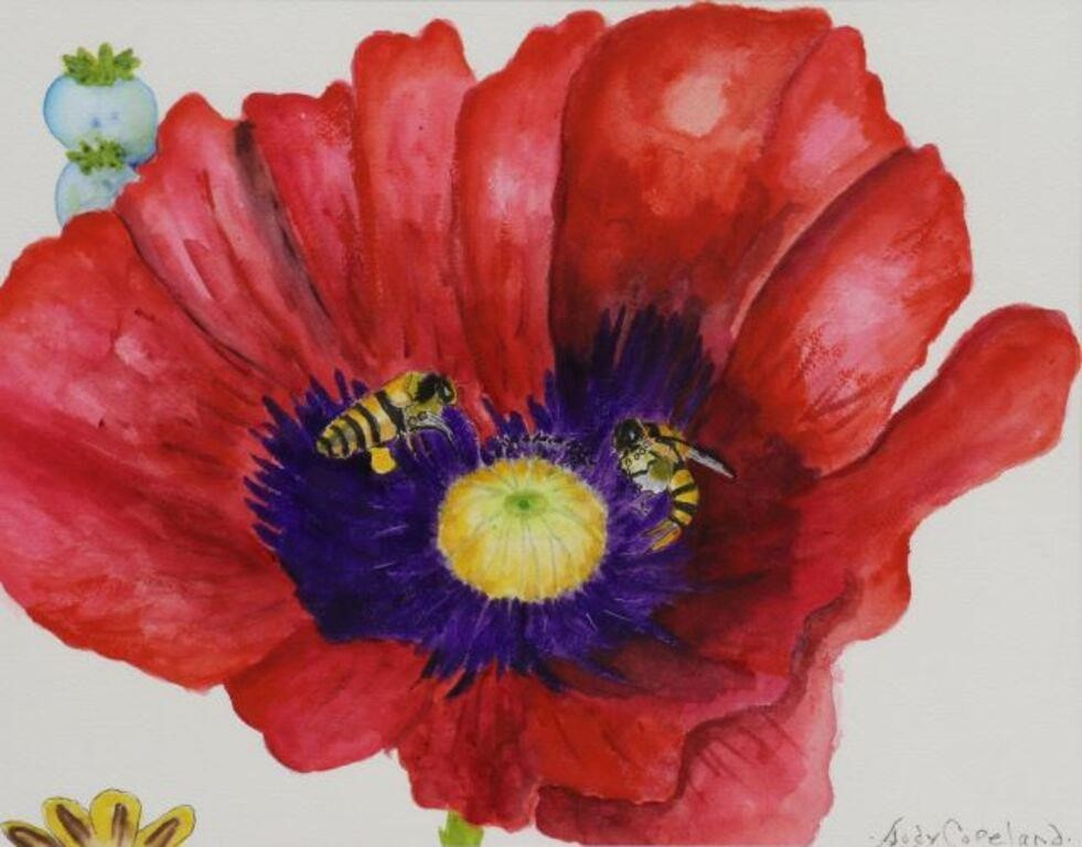 Framed watercolor painting on paper Red Poppy signed lower right