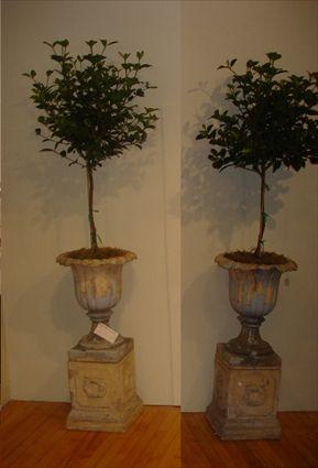 PAIR OF TERRACOTTA URNS 23 1 2 in tall each
