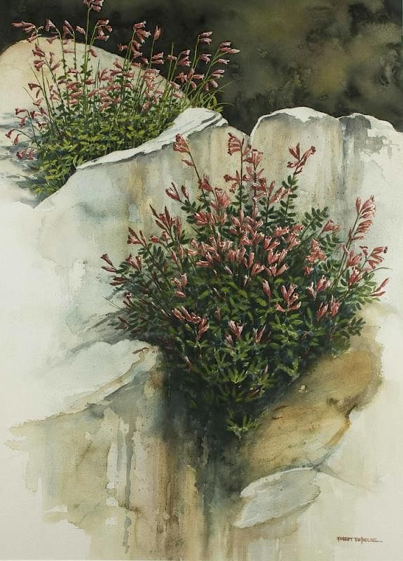 Robert Reynolds Watercolor Sierra Penstemon Framed Robert Reynolds b 1936