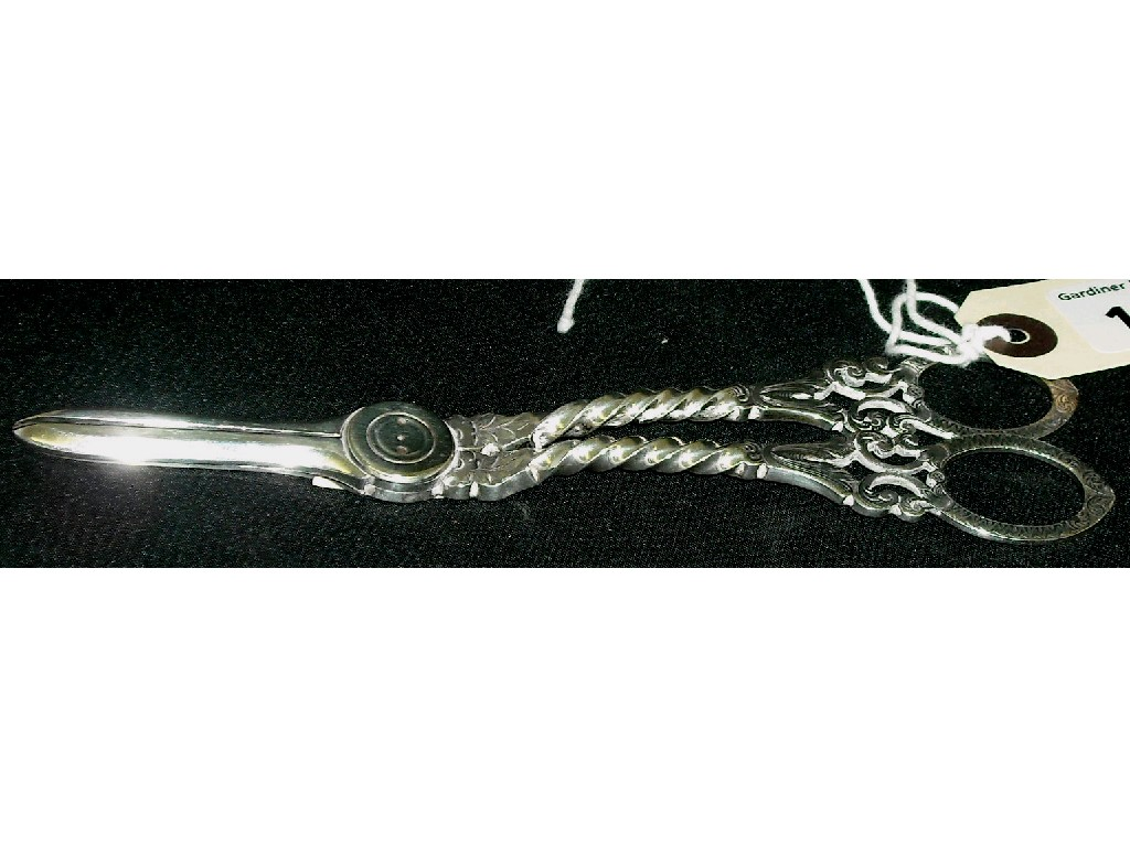 Good Victorian pair of grape scissors the handles with foliate