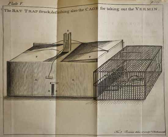 Rat Catching Smith Robert The Universal Dictionary for Taking Alive