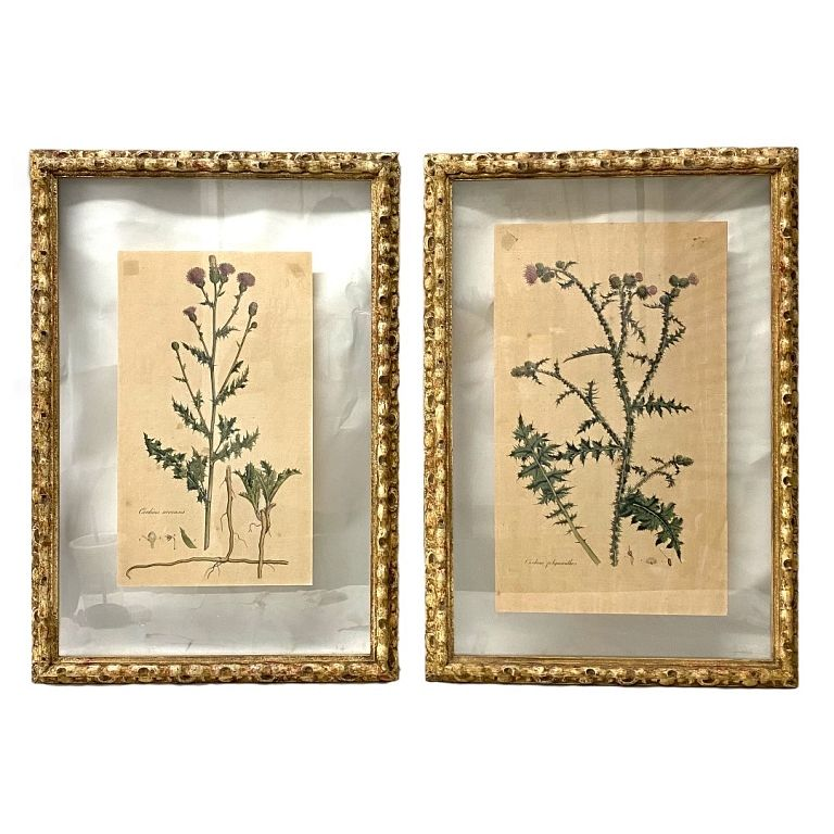 Pair of Prints Pair of Prints Measures 25 inches high