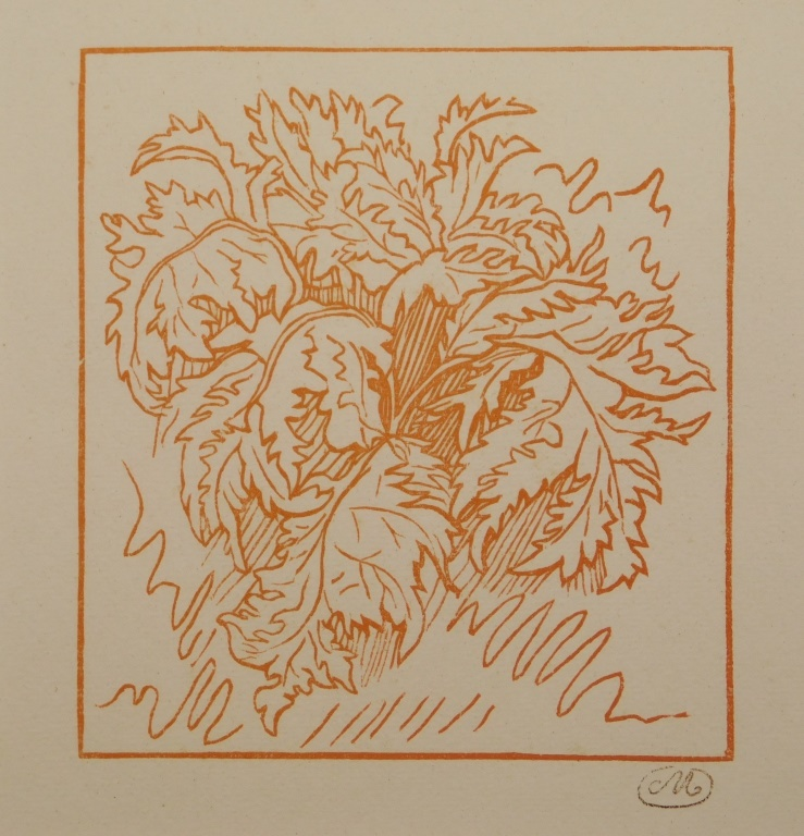 ARTISIDE MAILLOL ACANTHUS LEAF BOTANICAL ETCHING France 1861 1944 Acanthus