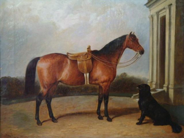 COLE James William 1860 O C Horse Portrait Dog Signed