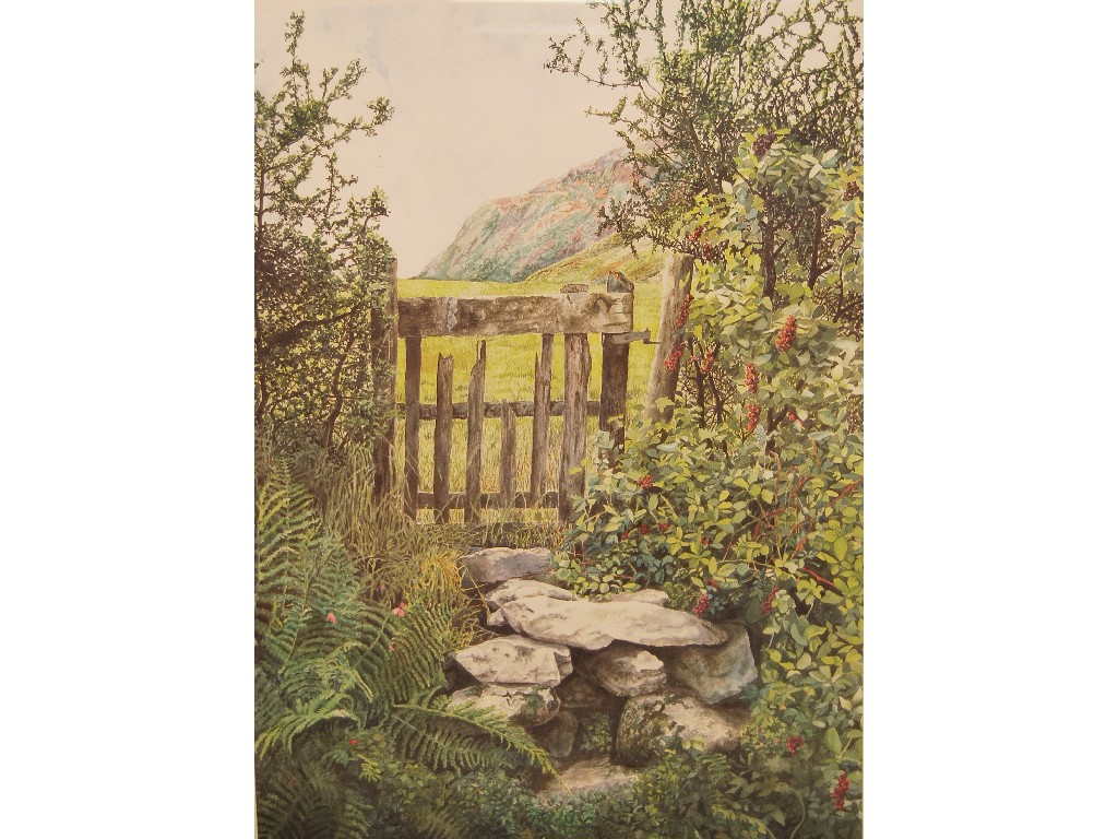 Two etchings after Graham Elveden Cloud Lilies ltd ed 166