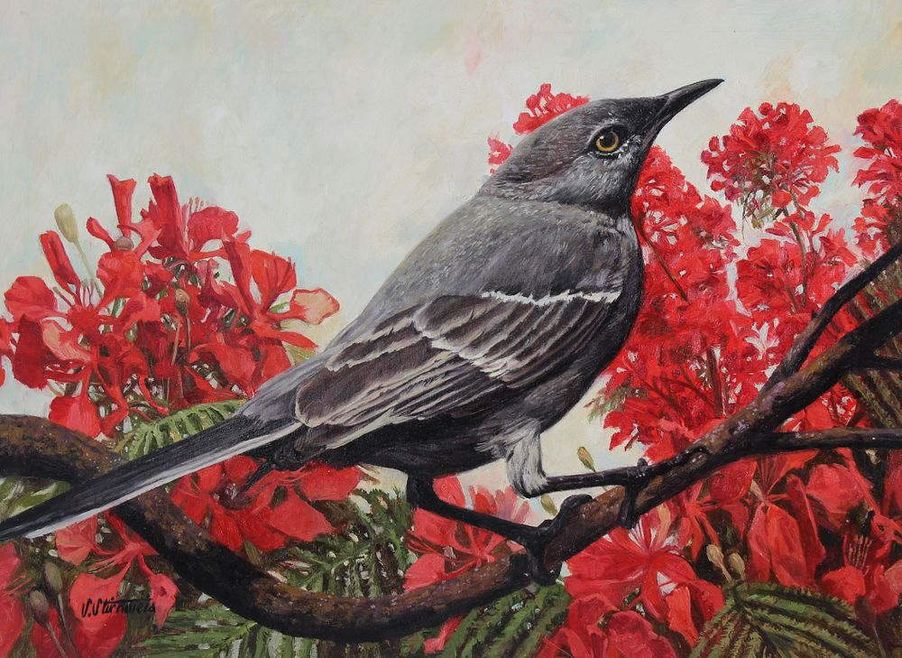 Shannon Stirnweis B 1931 Mockingbird Shannon Stirnweis Arizona New York