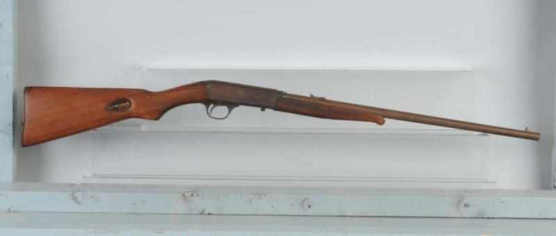Remington Model 24 Rifle Description 22 cal Bore needs cleaning
