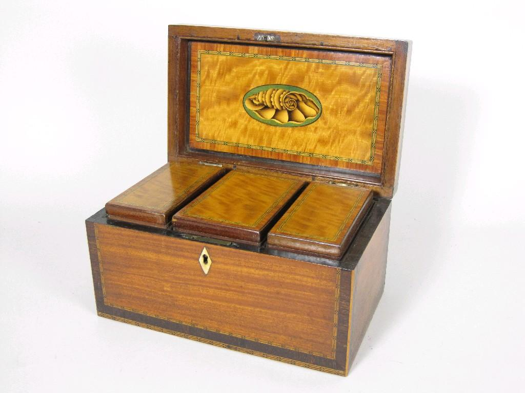 An early 19th Century satinwood Tea Caddy of sarcophagus shape
