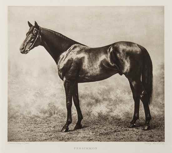 Spencer Edward The King s Racehorses number 25 of 50