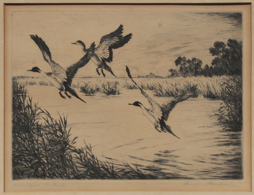 KLEIBER Hans American 1887 1967 Disturbed Pintails Etching sight size