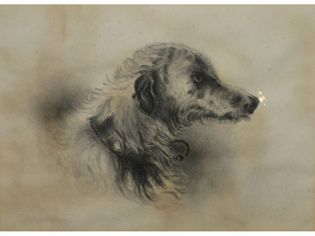 Chalk drawing of a lurcher unsigned