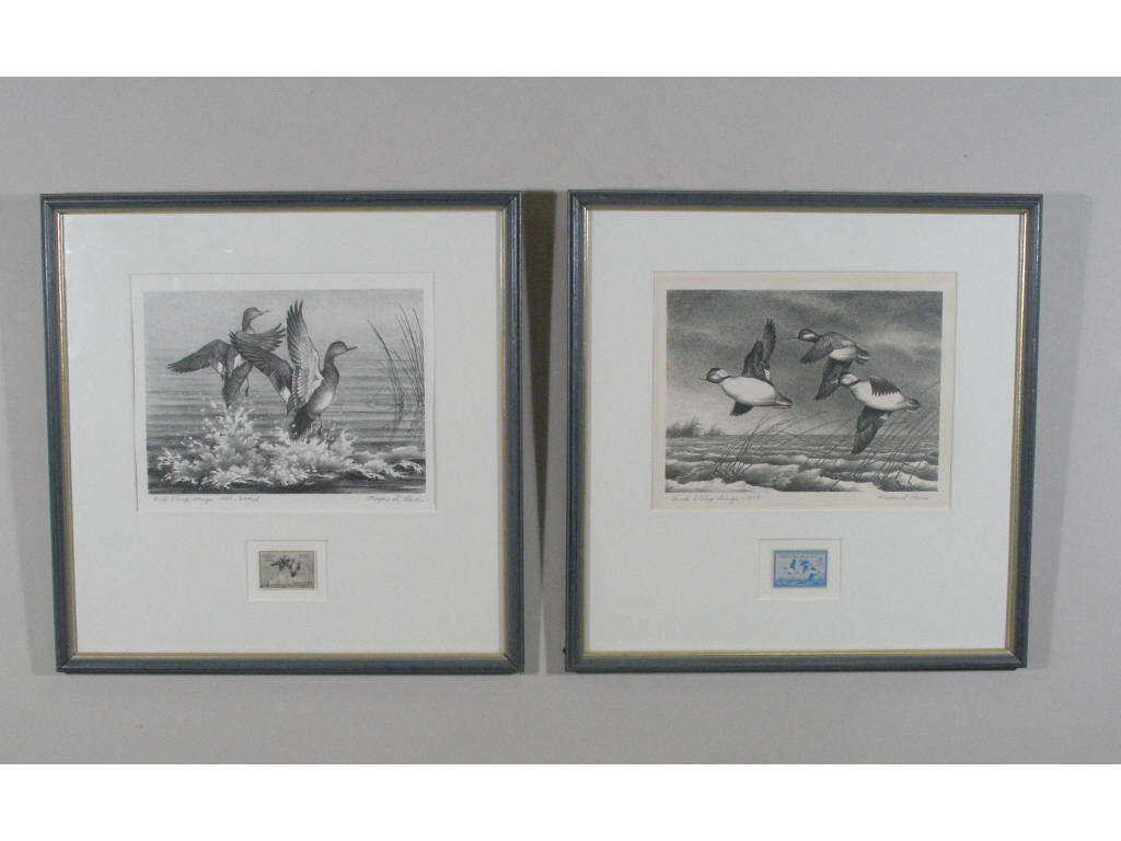 3 Federal Duck Stamp Print Stamp by M Reece the