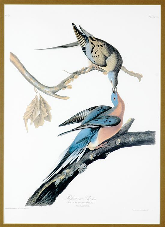 John James Audubon after New York 1785 1851 TWO WORKS