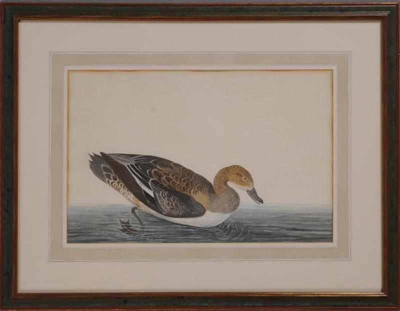 FIVE PAINTINGS OF WATERFOWL Watercolor on paper unsigned Largest 14