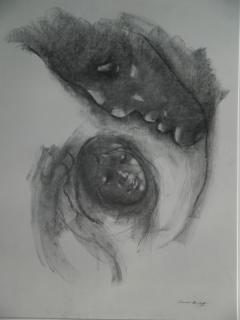 Samuel Bookatz charcoal Samuel Bookatz Holocaust Survivor charcoal on paper