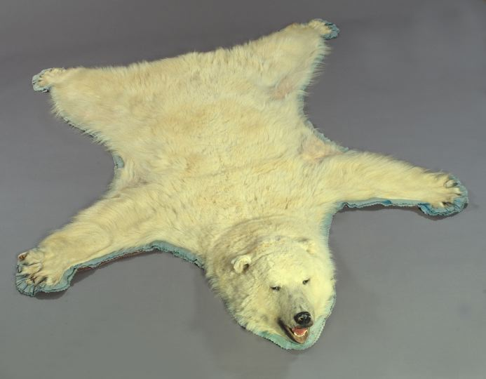 Polar Bear Rug 86 x 108