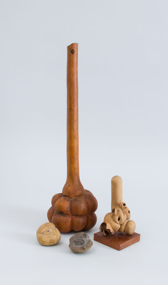 PETRIFIED SEA URCHIN AND A MACE FORMED GOURD Together with