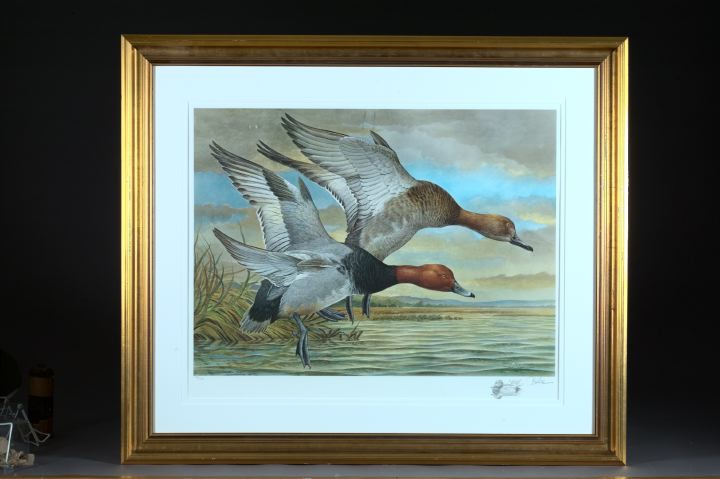 Basil Ede British b 1931 Redhead Aythya Americana limited edition