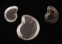 Fossil Earring and Pendant Set This set of sterling silver
