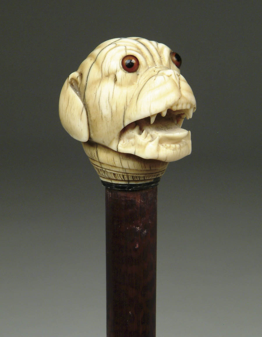 CARVED IVORY CANE WITH MASTIFF Carved mastiff head has brown